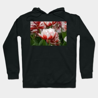 tulips Hoodie